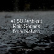 #1 50 Ambient Rain Sounds from Nature