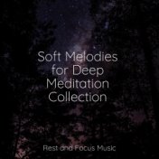 Soft Melodies for Deep Meditation Collection