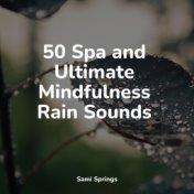 50 Spa and Ultimate Mindfulness Rain Sounds