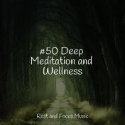 #50 Deep Meditation and Wellness