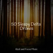 50 Sleepy Delta Drones