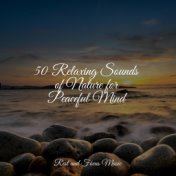 50 Relaxing Sounds of Nature for Peaceful Mind
