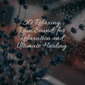 50 Relaxing Rain Sounds for Relaxation and Ultimate Healing