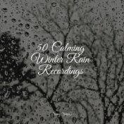 50 Calming Winter Rain Recordings