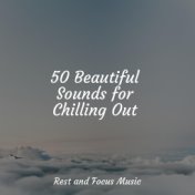 50 Beautiful Sounds for Chilling Out