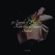 50 Sounds of Peaceful Rain and Nature Sounds