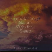 Compilation of Nature Melodies | Sleep