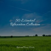 50 Essential Relaxation Collection