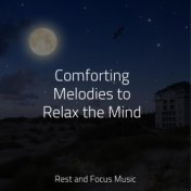 Comforting Melodies to Relax the Mind