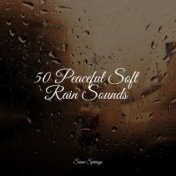 50 Peaceful Soft Rain Sounds