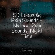 50 Loopable Rain Sounds - Natural Rain Sounds, Night Time