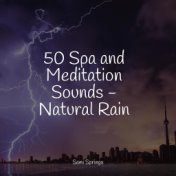 50 Spa and Meditation Sounds - Natural Rain