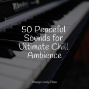 50 Peaceful Sounds for Ultimate Chill Ambience
