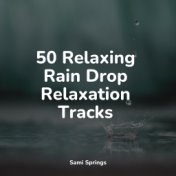 50 Relaxing Rain Drop Relaxation Tracks