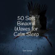 50 Soft Binaural Waves for Calm Sleep