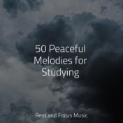 50 Peaceful Melodies for Studying