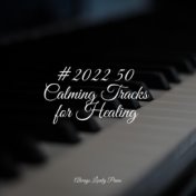 #2022 50 Calming Tracks for Healing