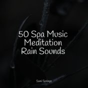 50 Spa Music Meditation Rain Sounds