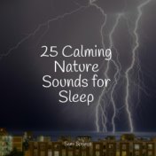 25 Meditation Rain Sounds