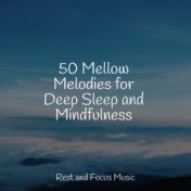 50 Mellow Melodies for Deep Sleep and Mindfulness