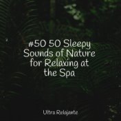 #50 50 Sleepy Sounds of Nature for Relaxing at the Spa