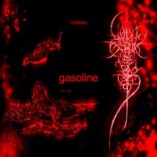 Gasoline  