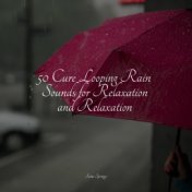 50 Cure Looping Rain Sounds for Relaxation and Relaxation