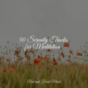 50 Serenity Tracks for Meditation