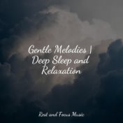 Gentle Melodies | Deep Sleep and Relaxation