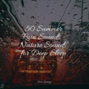 50 Summer Rain Sounds - Nature Sounds for Deep Sleep