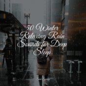 50 Winter Relaxing Rain Sounds for Deep Sleep