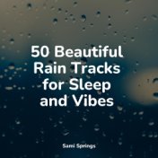 50 Beautiful Rain Tracks for Sleep and Vibes