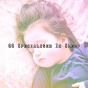 66 Specialised In Sleep