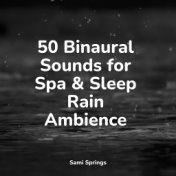 50 Binaural Sounds for Spa & Sleep Rain Ambience