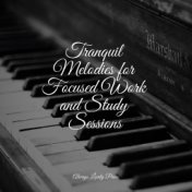 Tranquil Melodies for Focused Work and Study Sessions