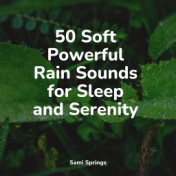 50 Soft Powerful Rain Sounds for Sleep and Serenity