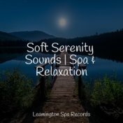 Soft Serenity Sounds | Spa & Relaxation