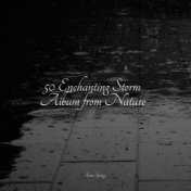 50 Enchanting Storm Album from Nature