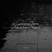 50 Sounds of Rain for Sleep