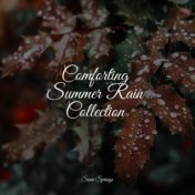 Comforting Summer Rain Collection