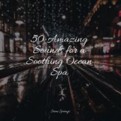 50 Amazing Sounds for a Soothing Ocean Spa