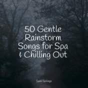 50 Gentle Rainstorm Songs for Spa & Chilling Out