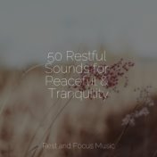 50 Restful Sounds for Peaceful & Tranquility