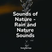 Sounds of Nature - Rain and Nature Sounds