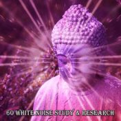 60 White Noise Study & Research