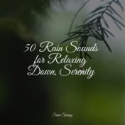 50 Rain Sounds for Relaxing Down, Serenity