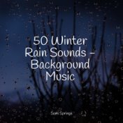 50 Winter Rain Sounds - Background Music