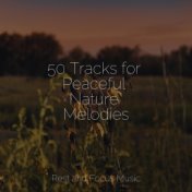 50 Tracks for Peaceful Nature Melodies