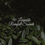 50 Best Nature Sounds