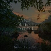 50 Soft Melodies to Drift Out